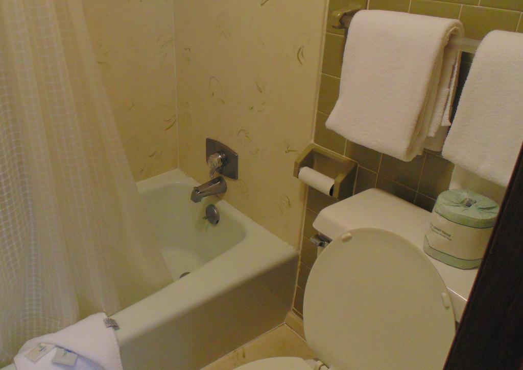 Terrace Inn On The Water ガトリンバーグ 部屋 写真